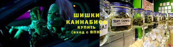 молекула духа Богородицк