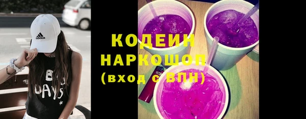 молекула духа Богородицк