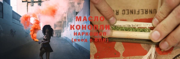молекула духа Богородицк