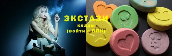 молекула духа Богородицк