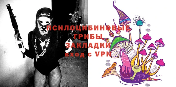 молекула духа Богородицк