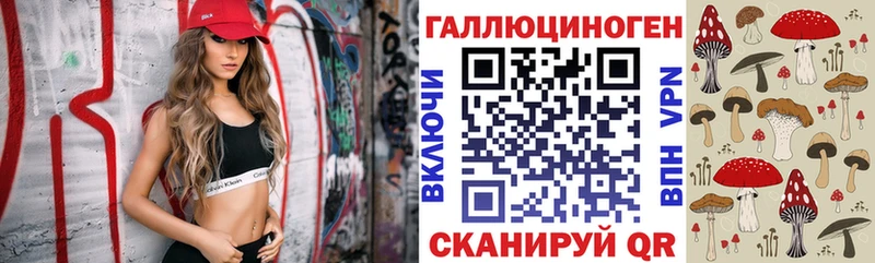 Псилоцибиновые грибы Psilocybine cubensis  Пересвет 